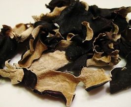 Chinese Black Mushroom