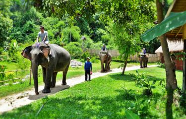 Attractive activities in Luang Prabang
