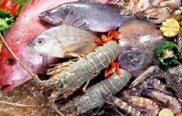 Tips for safe dining of seafood in Halong