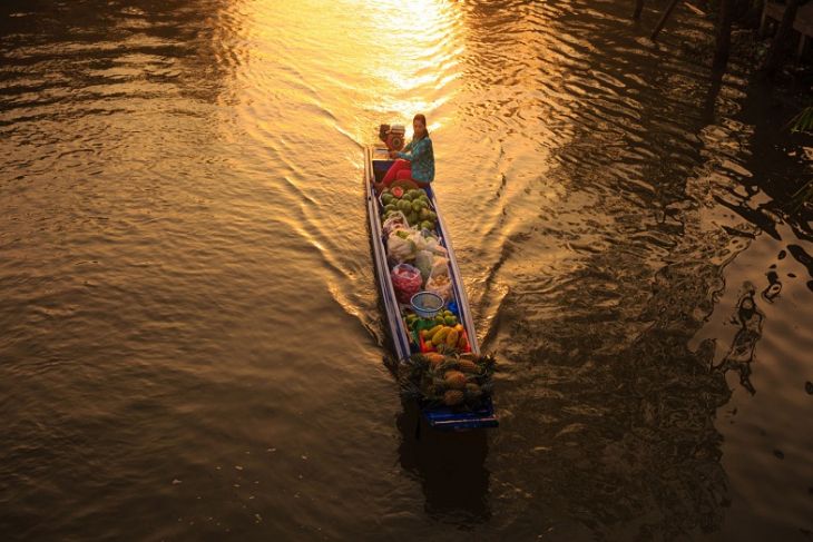 Discovery The Mekong Delta in one day