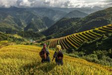 Mucangchai trekking tour 2 days – 1 night 