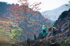 Hanoi - Halong - Ninh Binh - Son La - Tuan Giao - Dien Bien - Lai chau - Tam Duong - Sapa