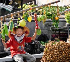 Ho Chi Minh - Cu Chi - Can Tho - Hoian - My Son - Hue - Hanoi - Halong