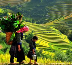 Hanoi - Halong - Sapa - Hue - Hoi An - Ho Chi Minh - My Tho