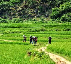 Mai Chau & Pu Luong