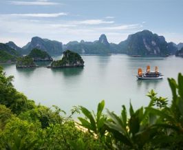 Cruise Trips in Halong Bay