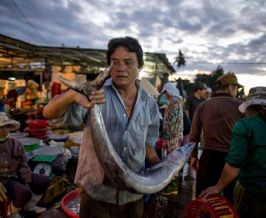 Hoi An Central Market