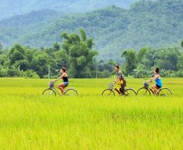 How to get to Ninh Binh ?