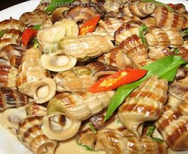 Halong Snails