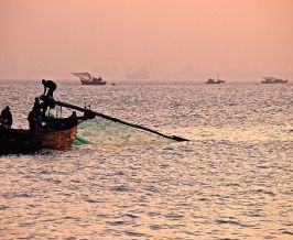 Fishing along with fisherman