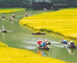 Take a boat trip in Ninh Binh