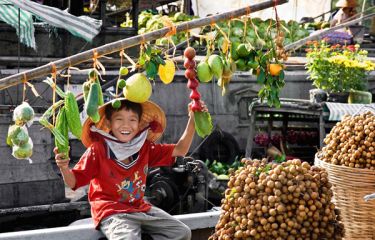 Ho Chi Minh - Cu Chi - Can Tho - Hoian - My Son - Hue - Hanoi - Halong