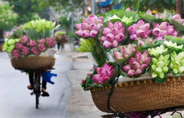 Full Day Hanoi Rural Life by Bicycle