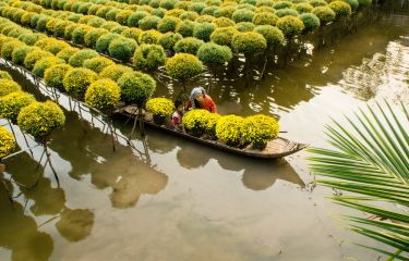 Mekong Delta - My Tho