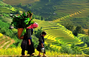 Hanoi - Halong - Sapa - Hue - Hoi An - Ho Chi Minh - My Tho