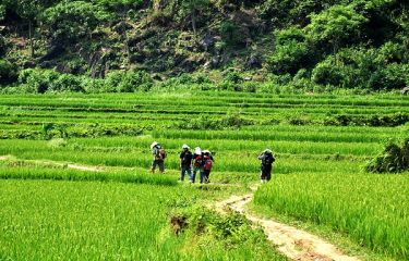 Mai Chau & Pu Luong