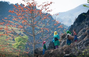 Hanoi - Halong - Ninh Binh - Son La - Tuan Giao - Dien Bien - Lai chau - Tam Duong - Sapa