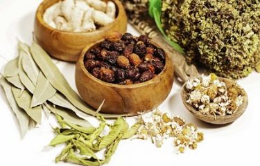 Learn About Traditional Medicine