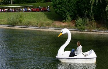 Peddle Boat the West Lake like a … swan?