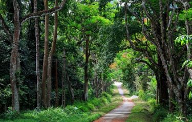 Trekking Cuc Phuong National Park