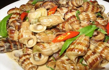 Halong Snails