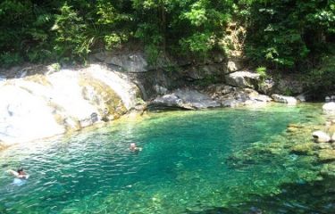 Relaxing on Elephant Springs