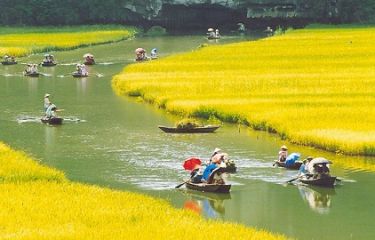 Take a boat trip in Ninh Binh