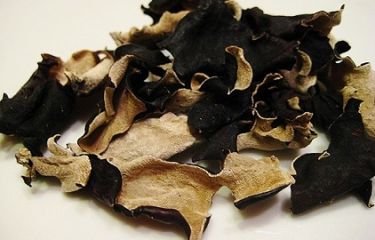 Chinese Black Mushroom