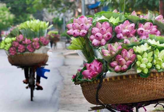 Full Day Hanoi Rural Life by Bicycle