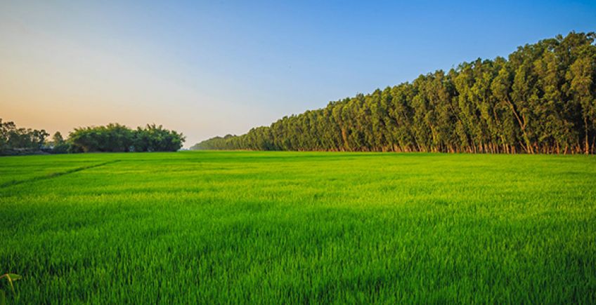 An Giang