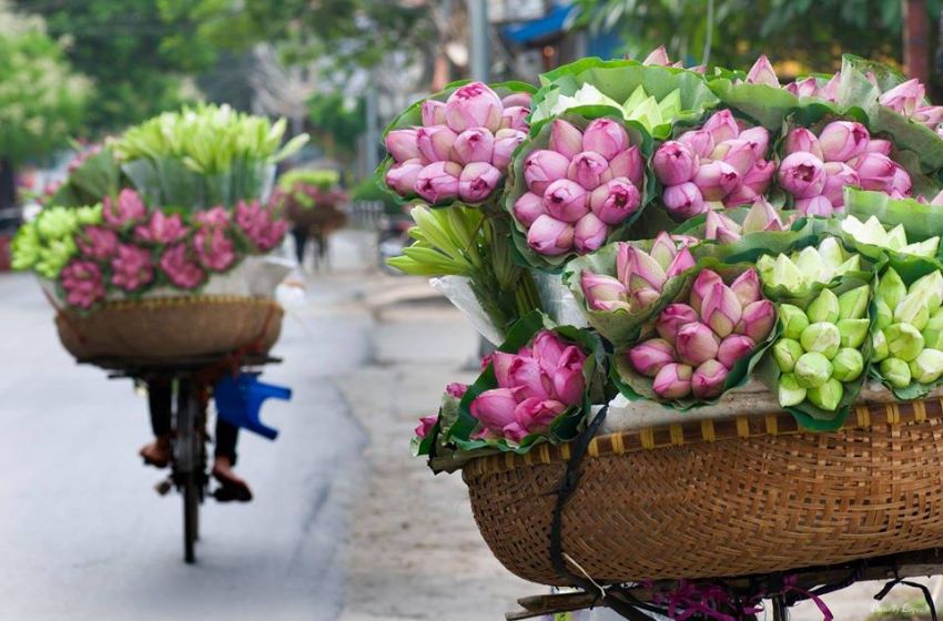 Hanoi Fullday Explore!