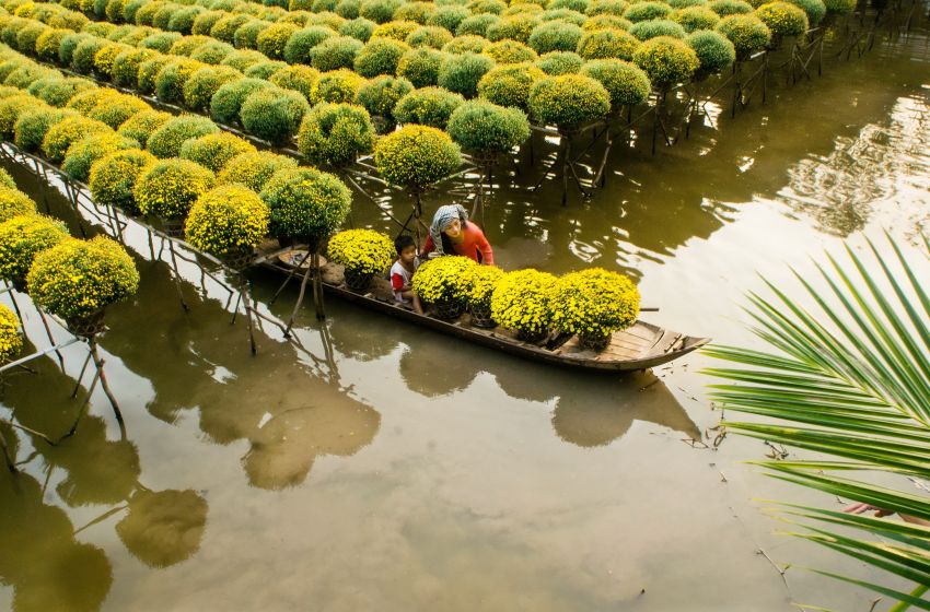 Mekong Delta - My Tho